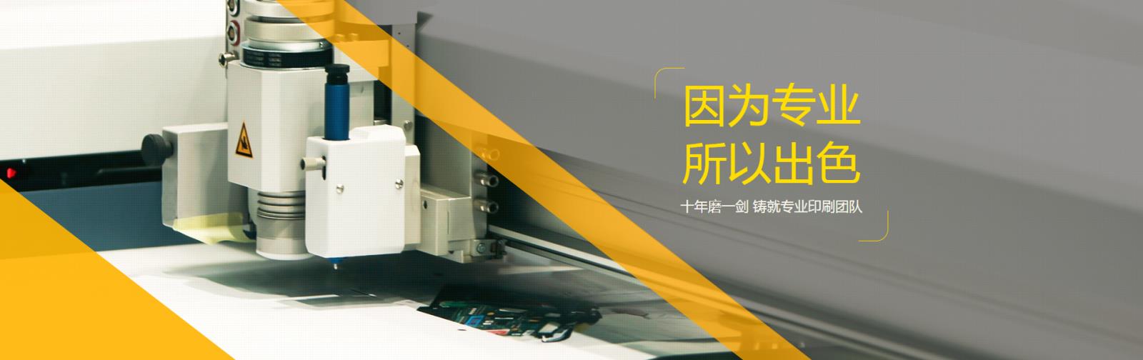 动态2